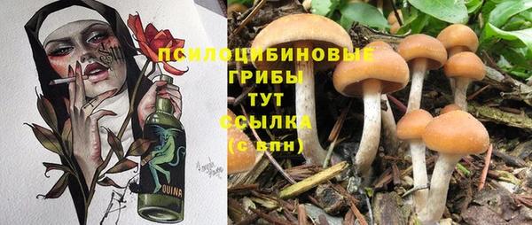 первитин Верхний Тагил
