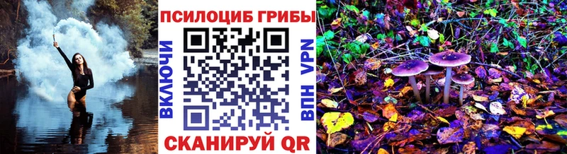 где можно купить наркотик  blacksprut ТОР  Галлюциногенные грибы Psilocybe  Ачхой-Мартан 